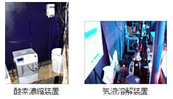 【観賞魚の飼育】ADDOXシステム・CFJデバイスの活用