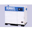 Oil-free screw vacuum pump