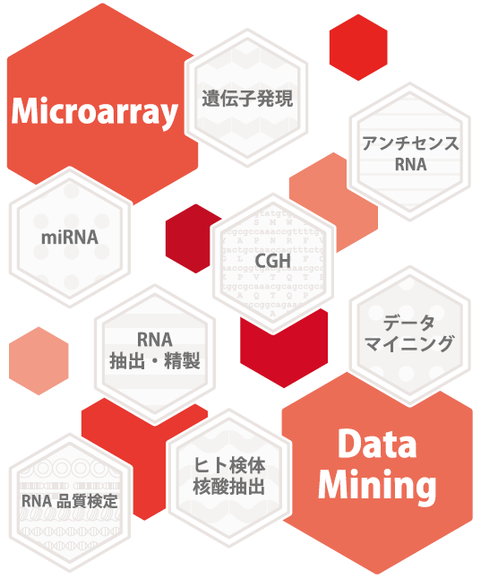 DNA マイクロアレイ解析サービス