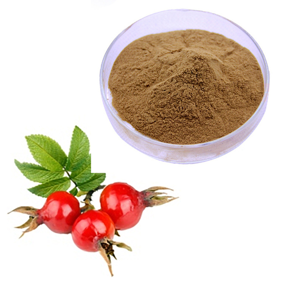 thorn rose Extract.jpg