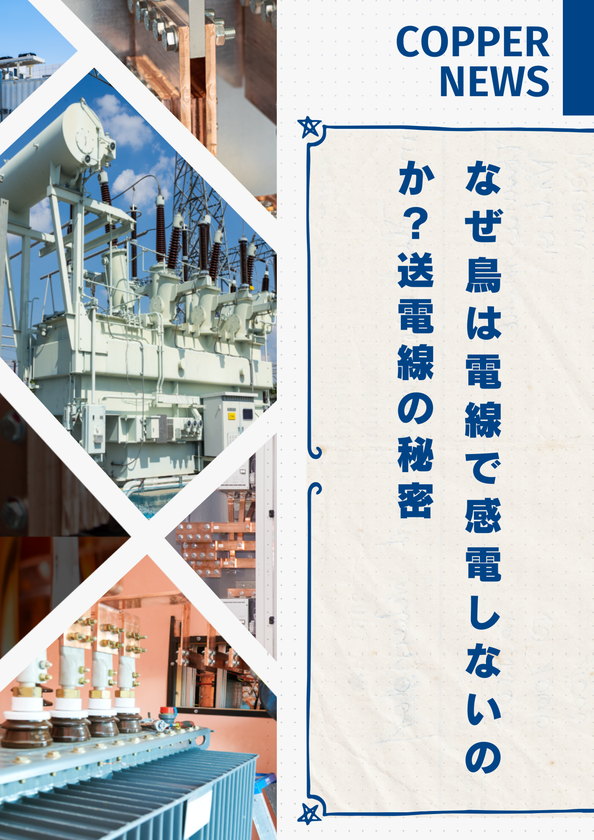 【技術資料】送電線と生物の安全：電気の性質と安全設計