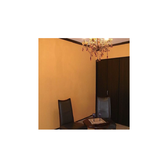キャプチャ1.PNG