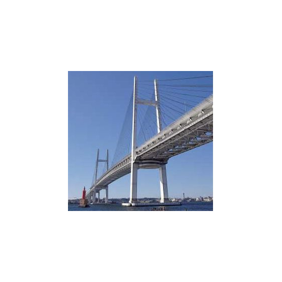 cable_bridge.jpg