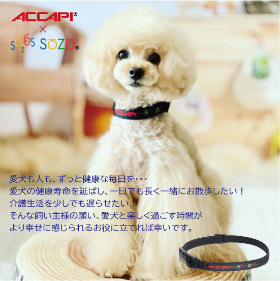 ACCAPI『ペット用ネックバンド』