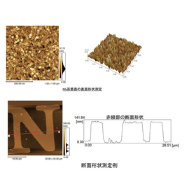 AFMによるnmオーダで試料表面の凹凸状態を計測