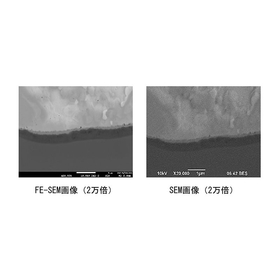 電界放出型走査顕微鏡『FE-SEM』