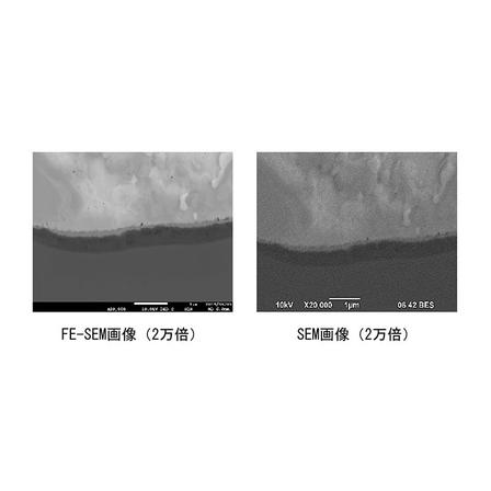 FE-SEM 画像.jpg