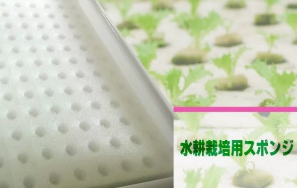 水耕栽培用 ウレタンスポンジ培地 100枚入 クリヌキ十字タイプ 28×285×585mm 23.5mm角 300ピース 育苗マット D地 代引不可 個人宅配送不可