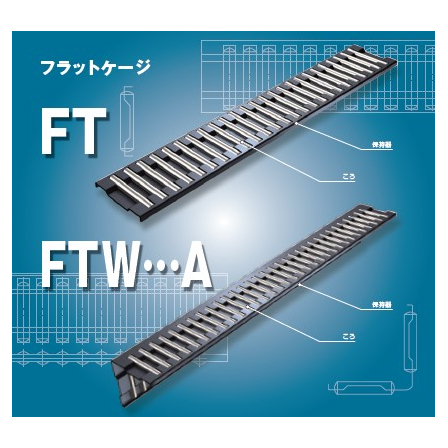 FT1.jpg
