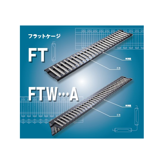 FT1.jpg