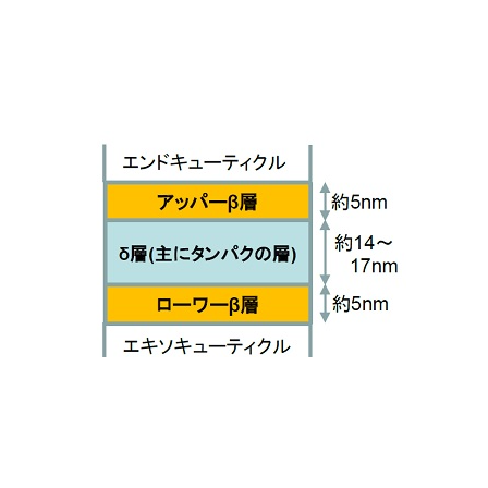11.png