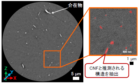 【分析事例】ナノCTによるCNF繊維配向評価