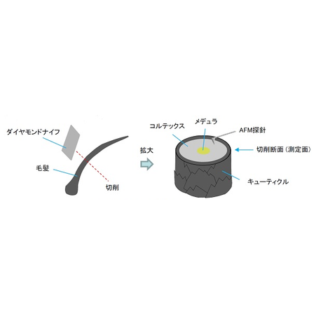 メイン.png