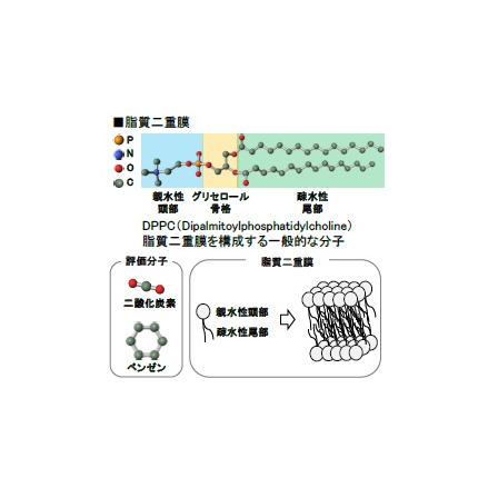 メイン.png