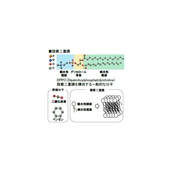メイン.png