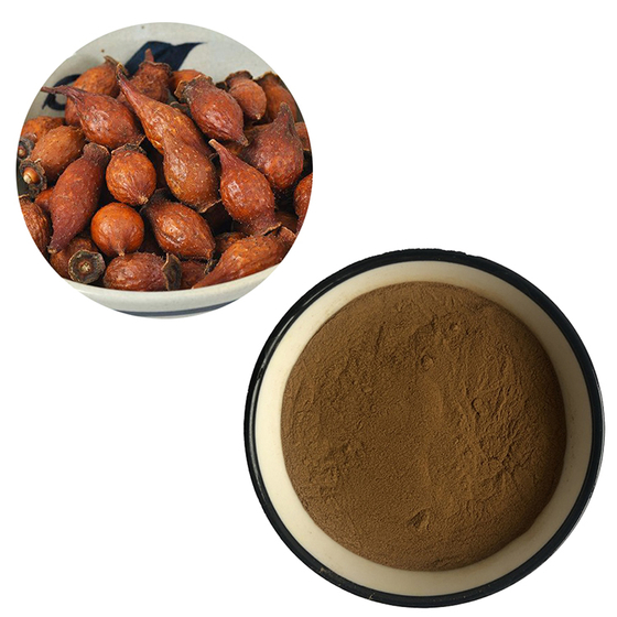Cherokee Rose Fruit Extract.jpg