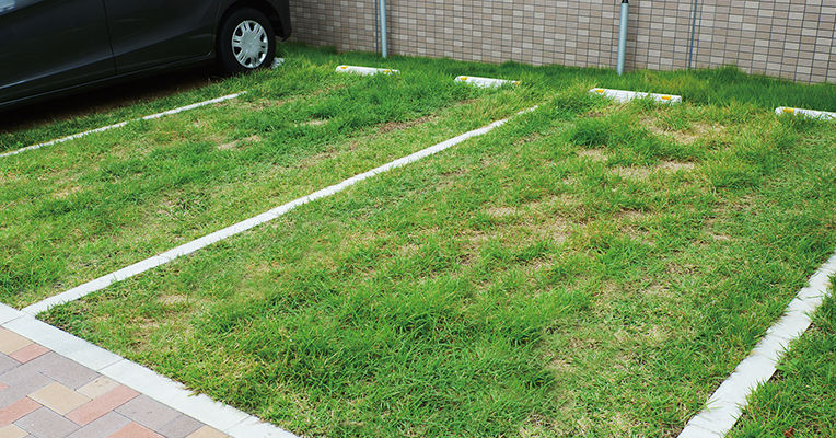 駐車場緑化『Ｄ’ｓグリーンパーキング（芝タイプ）』