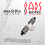 RNA analysis HPLC column "RNASep Prep Column"