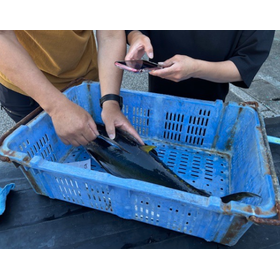 Visualizing Tuna Transport Temperat...