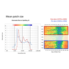 Surfer ユーザーのための Grapher 活用法