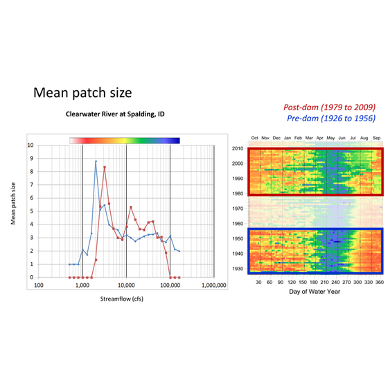 Raster-Patch-Analysis-Clearwater-River_s.png