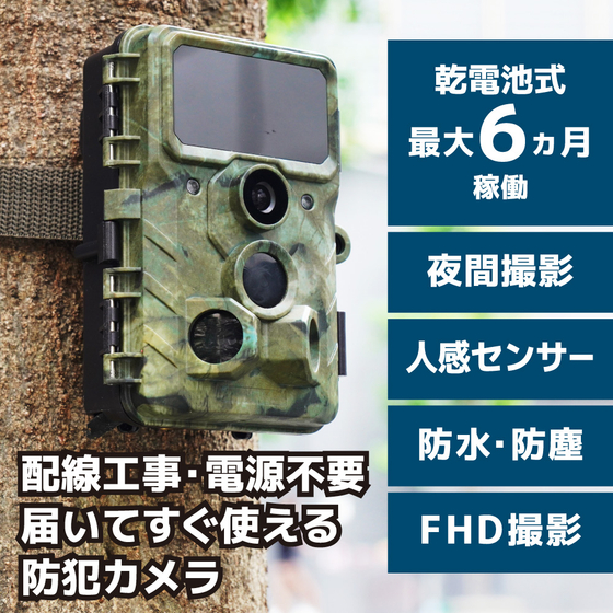 autm26hgr-1.jpg