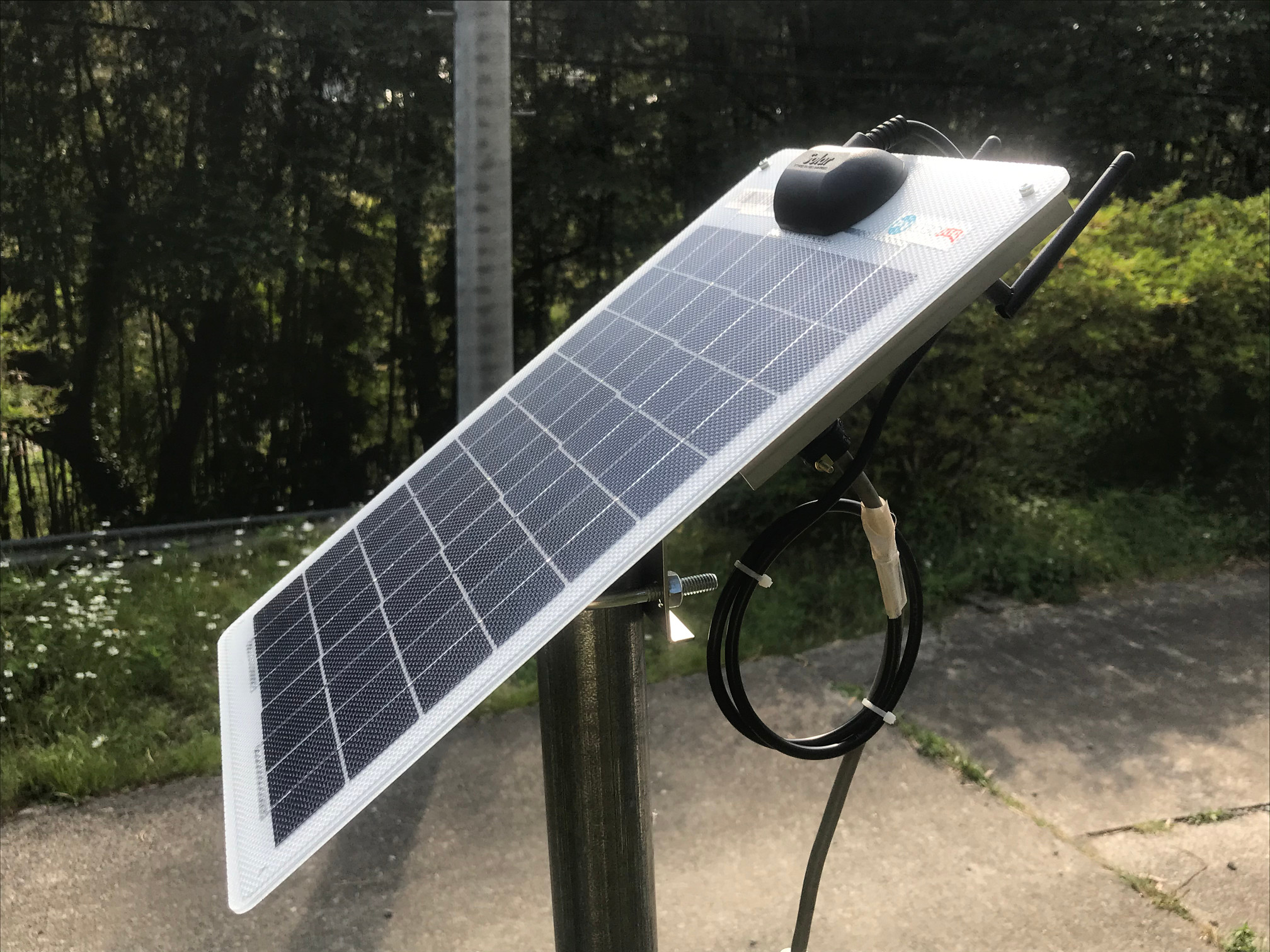 さるぼぼアラーム (水位計)