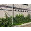 Wall greening: This is a case study of aging in a Tokyo apartment building.