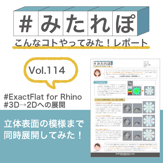 みたれぽ[114]立体表面の模様まで同時展開してみた