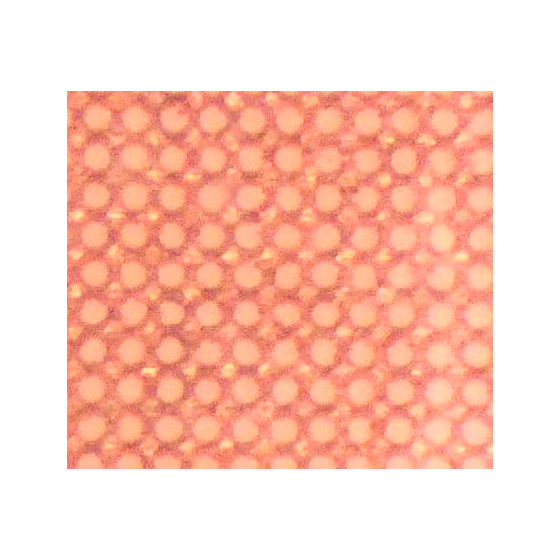 く13.png