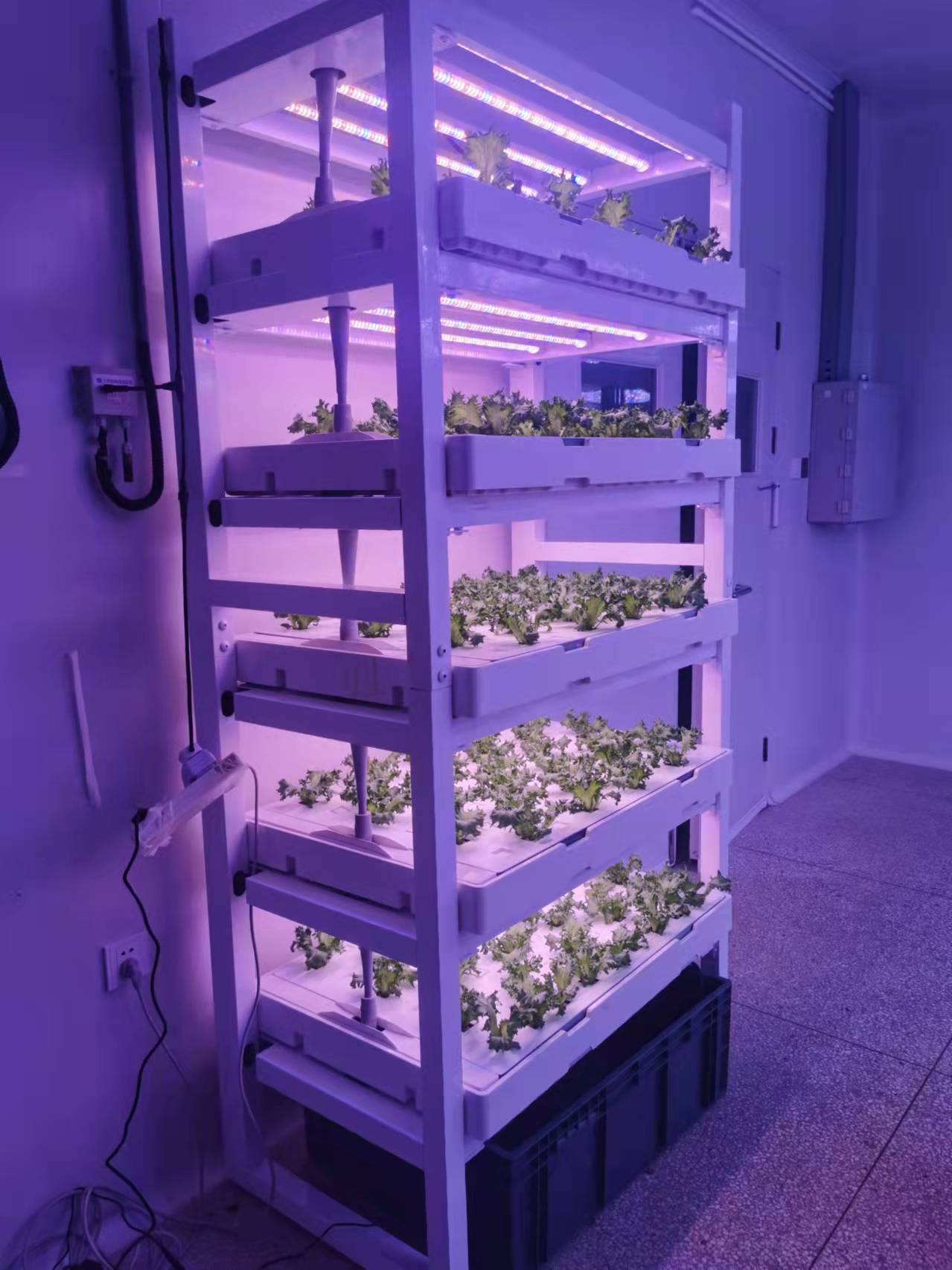 業務用水耕栽培用多段棚『Mシステム コンパクト型』