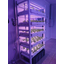 Commercial Hydroponic Multi-Tier Shelf "M System Compact Type"