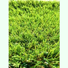 【無料サンプル進呈中】お手入れ簡単！人工芝サラターフ