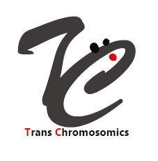 『ヒト型モデル動物』