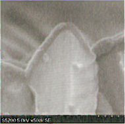 有機デバイス用実験部材