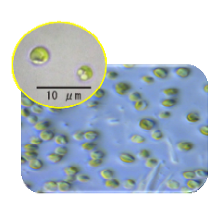 2021-11-05_13h46_52.png