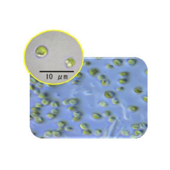 2021-11-05_13h46_52.png