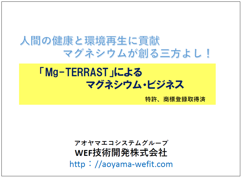 【資料】「Mg-TERRAST」によるマグネシウム・ビジネス