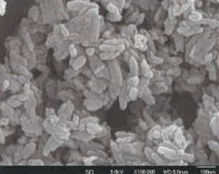 機能性粉体『ヒドロキシアパタイト』