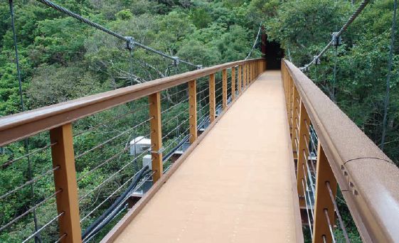 【FRP BRIDGE】人力でしか架設できない場所での吊り橋