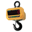 Hoist Scale HS-CD Series