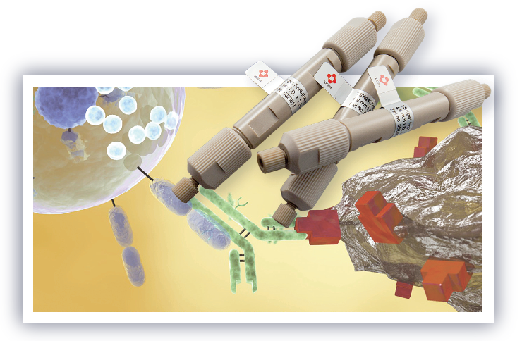 抗体Fc領域糖鎖構造認識 TSKgel FcR-IIIAシリーズ