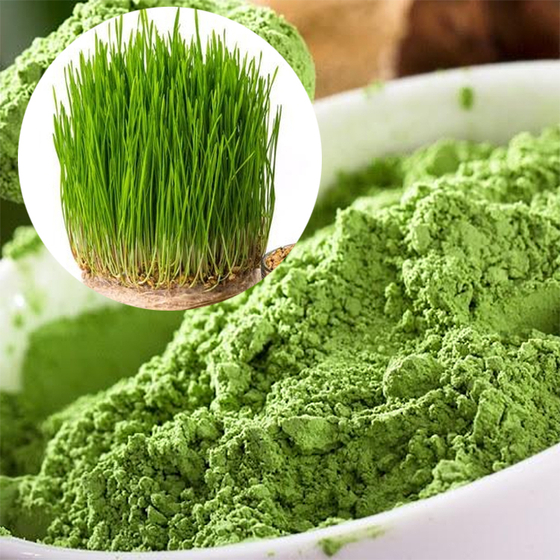 Wheatgrass powder.jpg