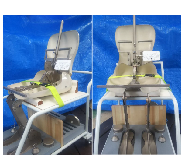 三次元人体模型『SAE-3DM』