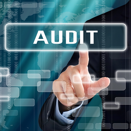 500x500_audit.png