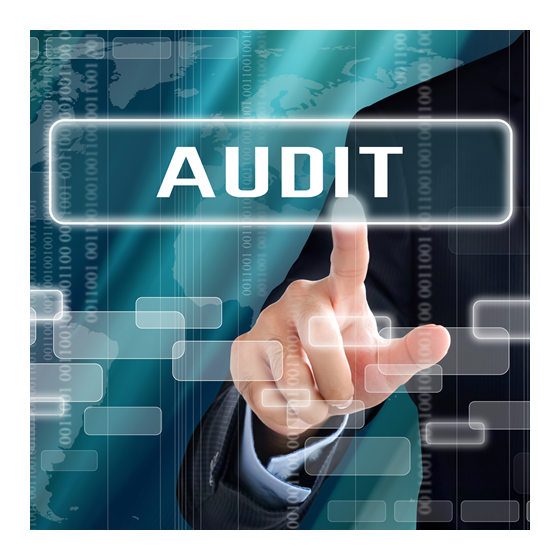 500x500_audit.png