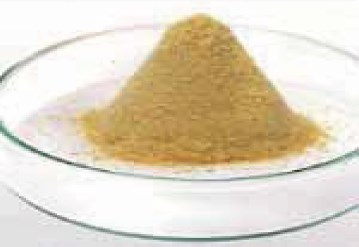 オオイタドリエキス末『ベラハーブリン』