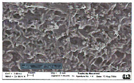 多孔性フィルム『Teslin（テスリン）』