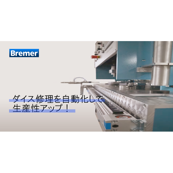 bremer sozai.png