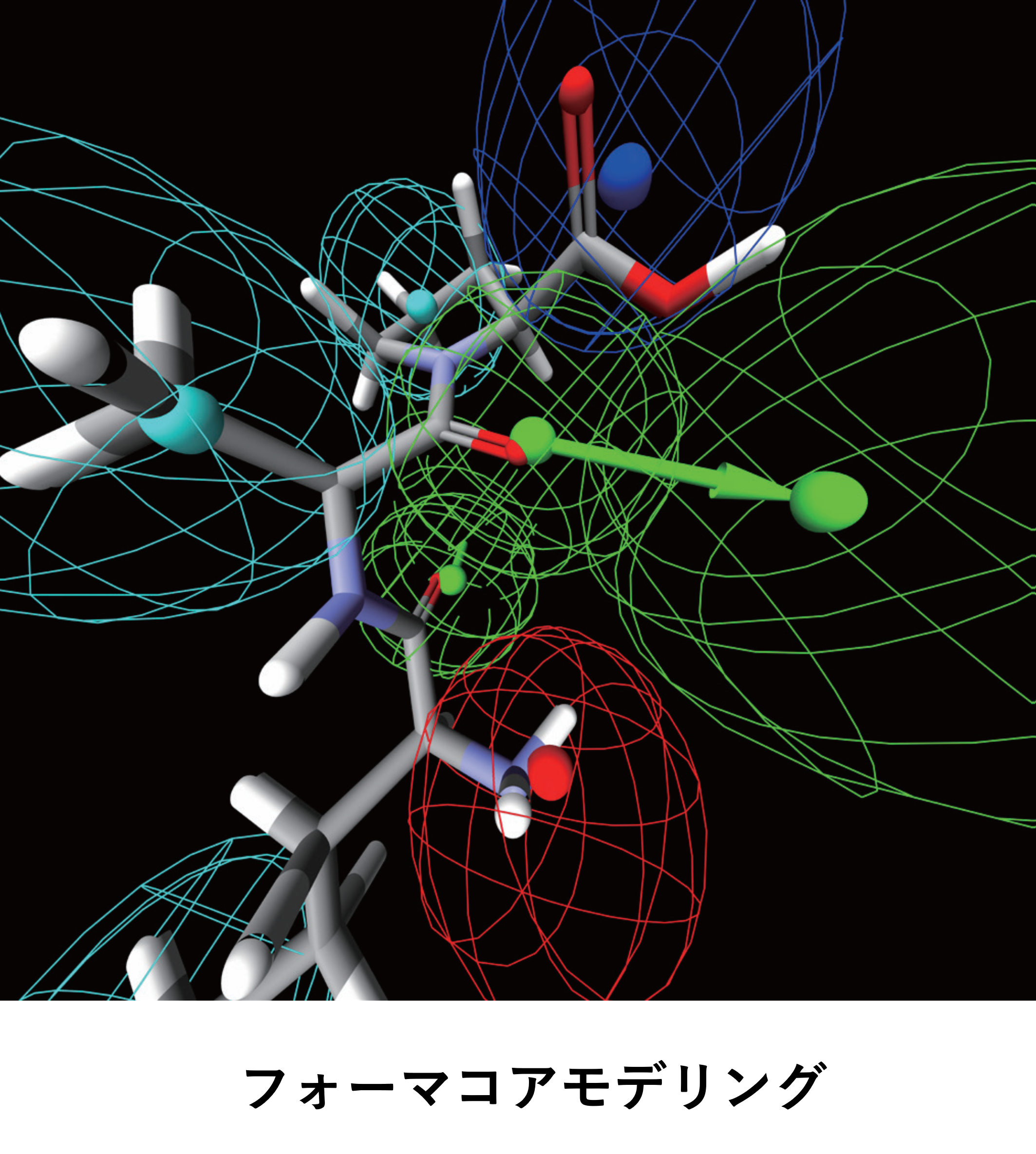 創薬シミュレーションソフト『Discovery Studio』